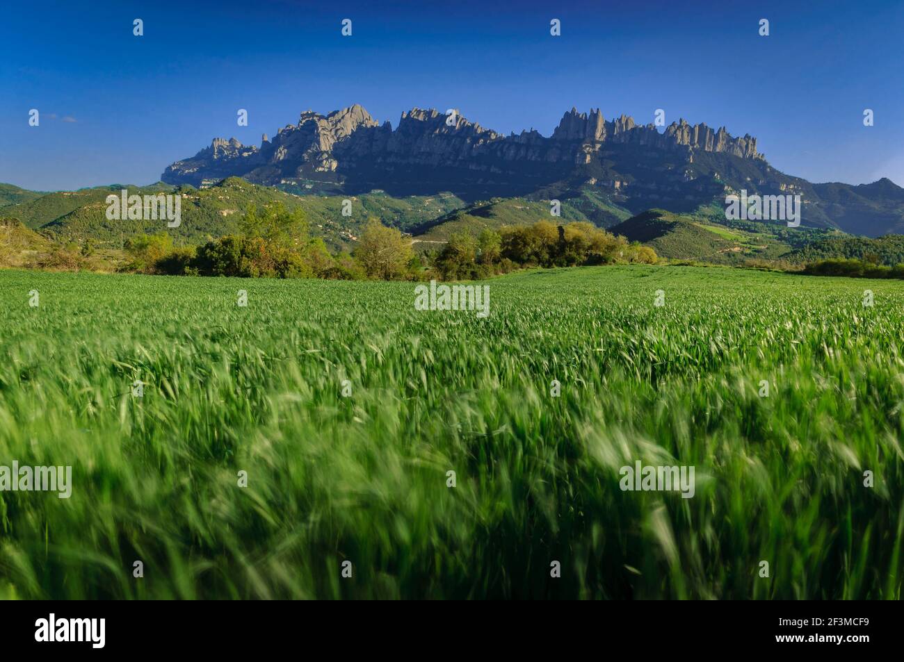 Spring afternoon among green fields near Marganell with Montserrat in the background (Barcelona province, Catalonia, Spain) Stock Photo