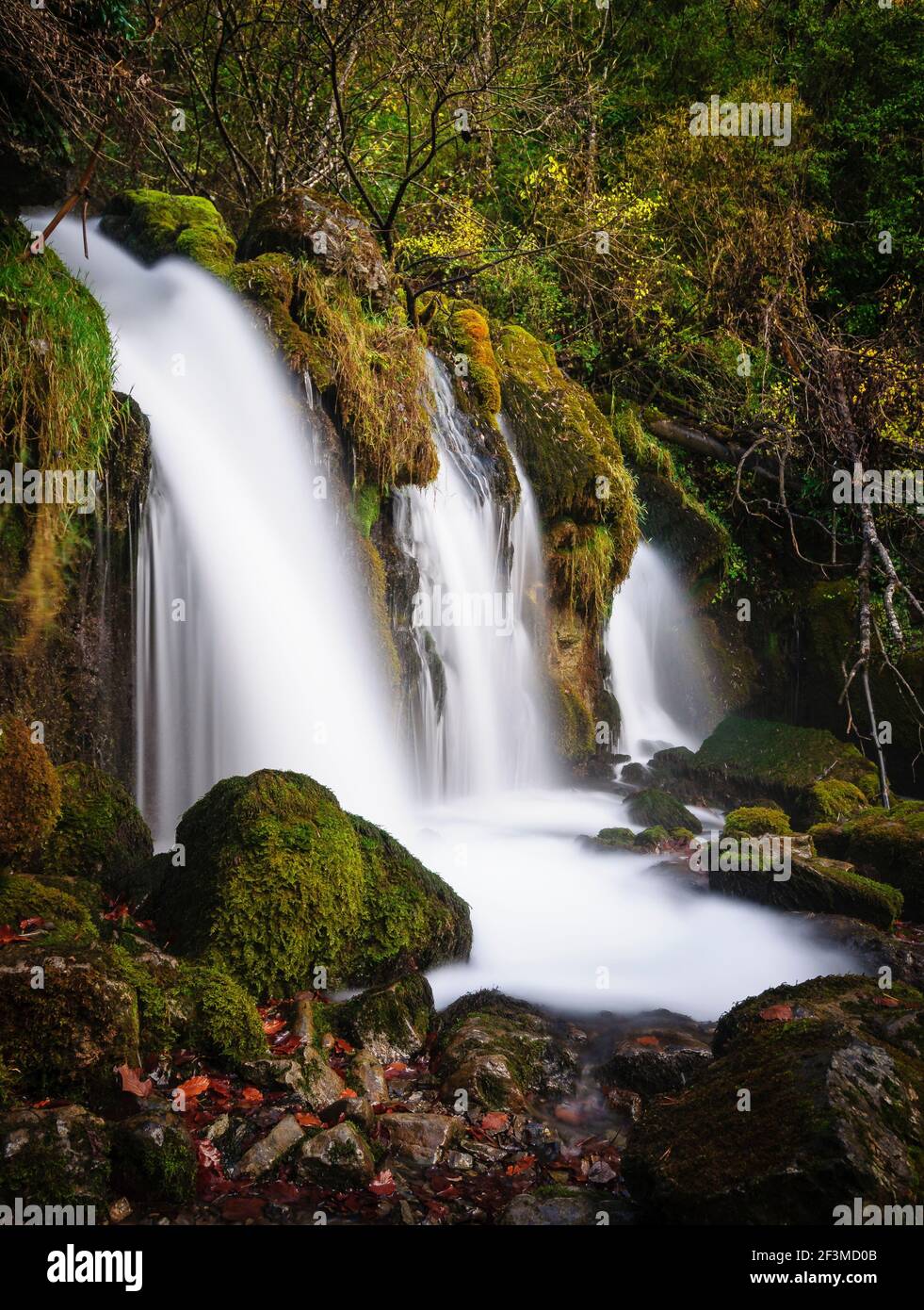 Waterfall near the Dou del Bastareny upwelling in autumn (Berguedà, Catalonia, Spain, Pyrenees) Stock Photo