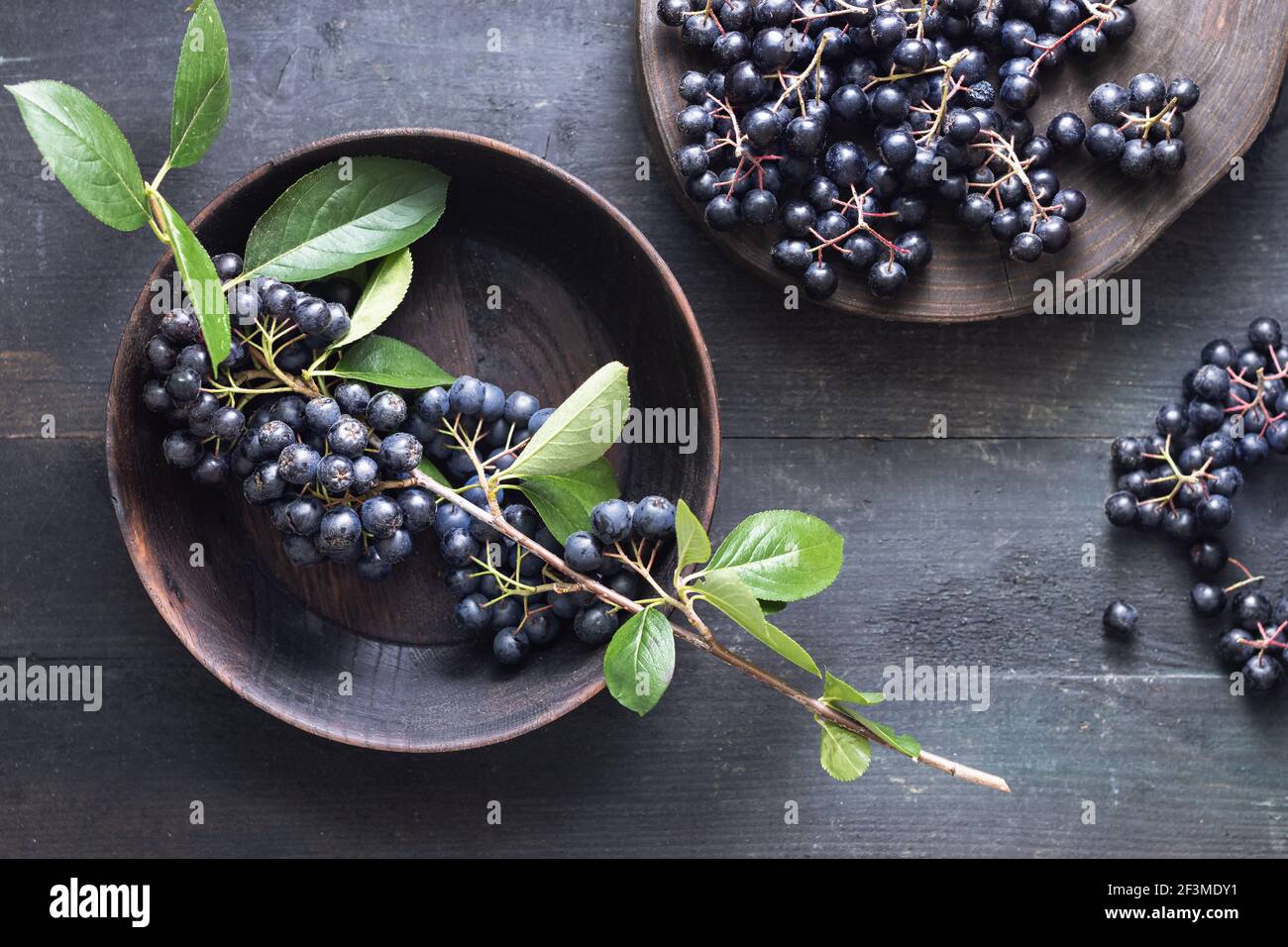 Freshly picked homegrown aronia berries on wooden table Stock Photo