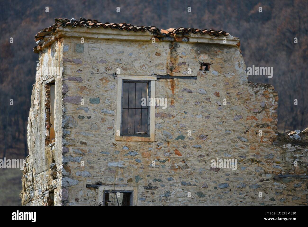 Oxia hi-res stock photography and images - Alamy