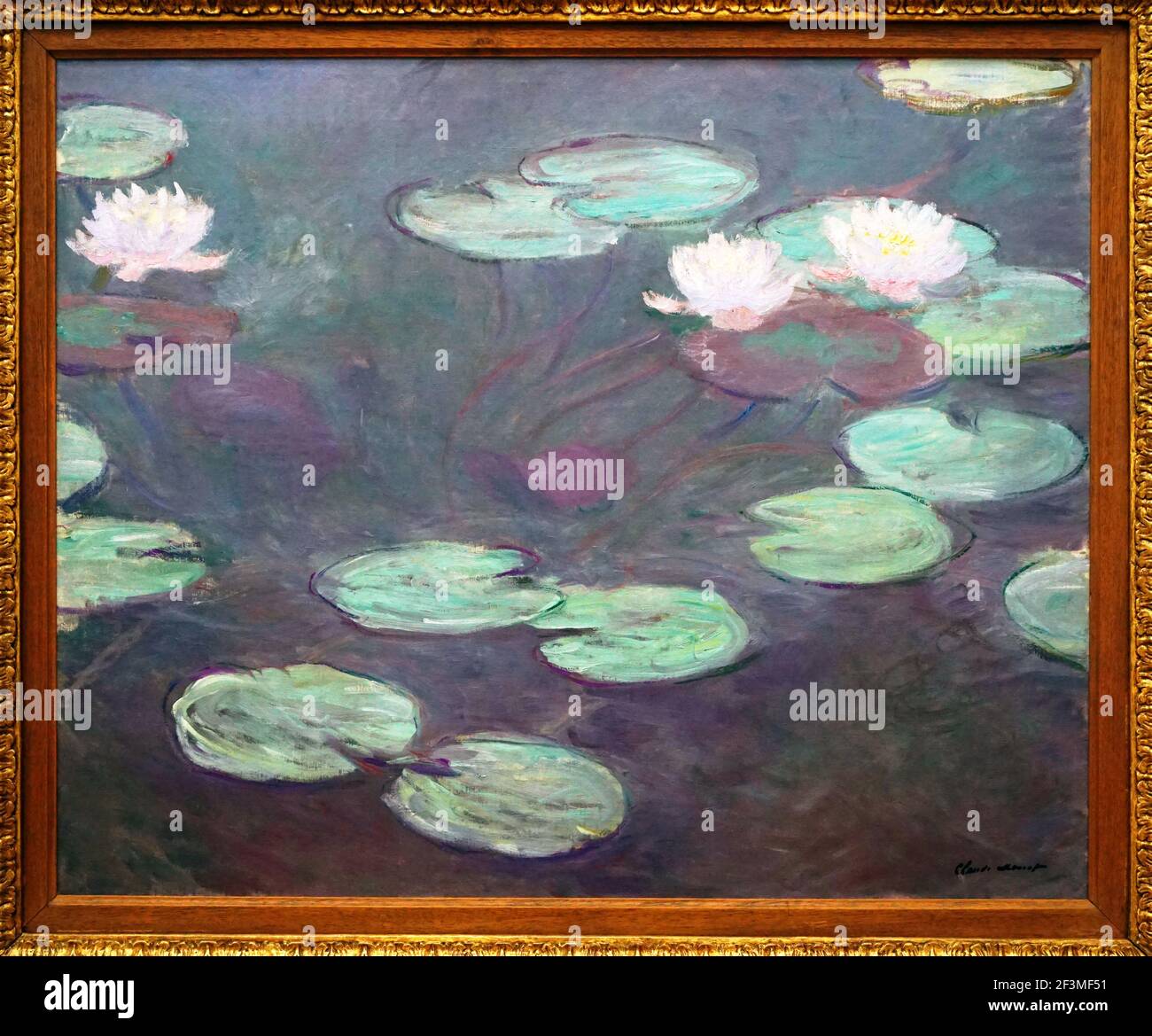 Water Lilies Monet High Resolution Stock Photography And Images Alamy