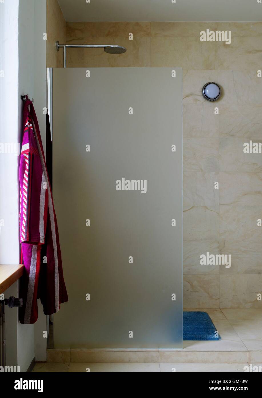 Bathroom with shower behind frosted glass partition in family home
