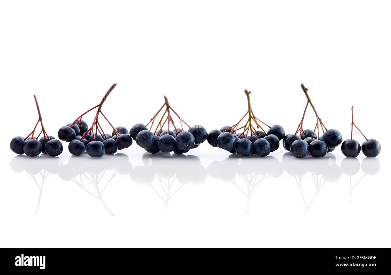 Fresh Aronia Berries On White Background Stock Photo