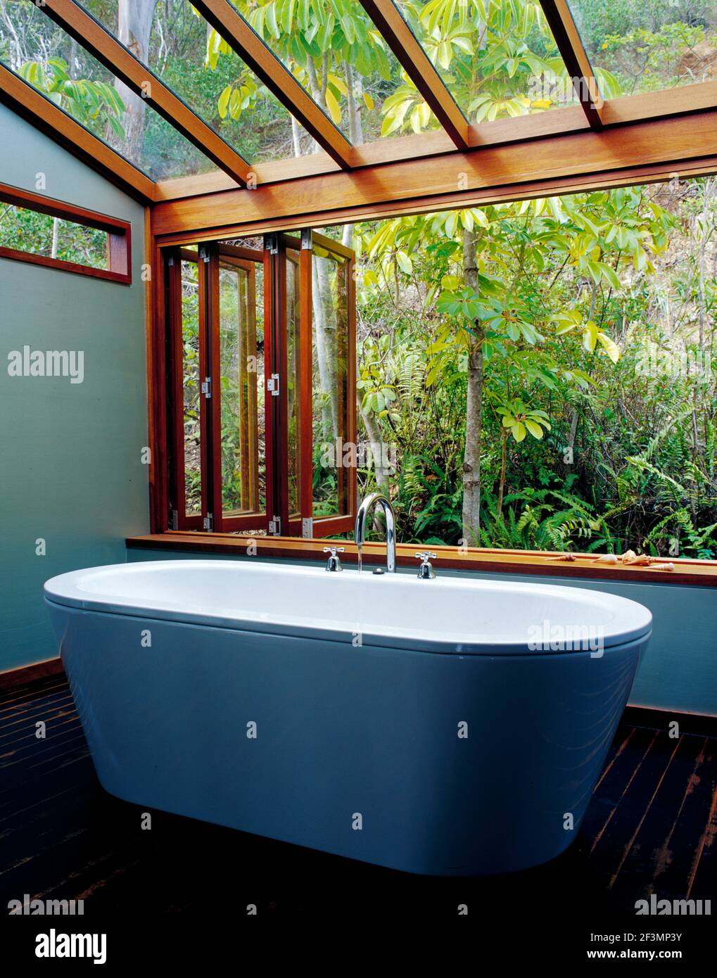 Freestanding bathtub in bathroom with glass roof Stock Photo Alamy
