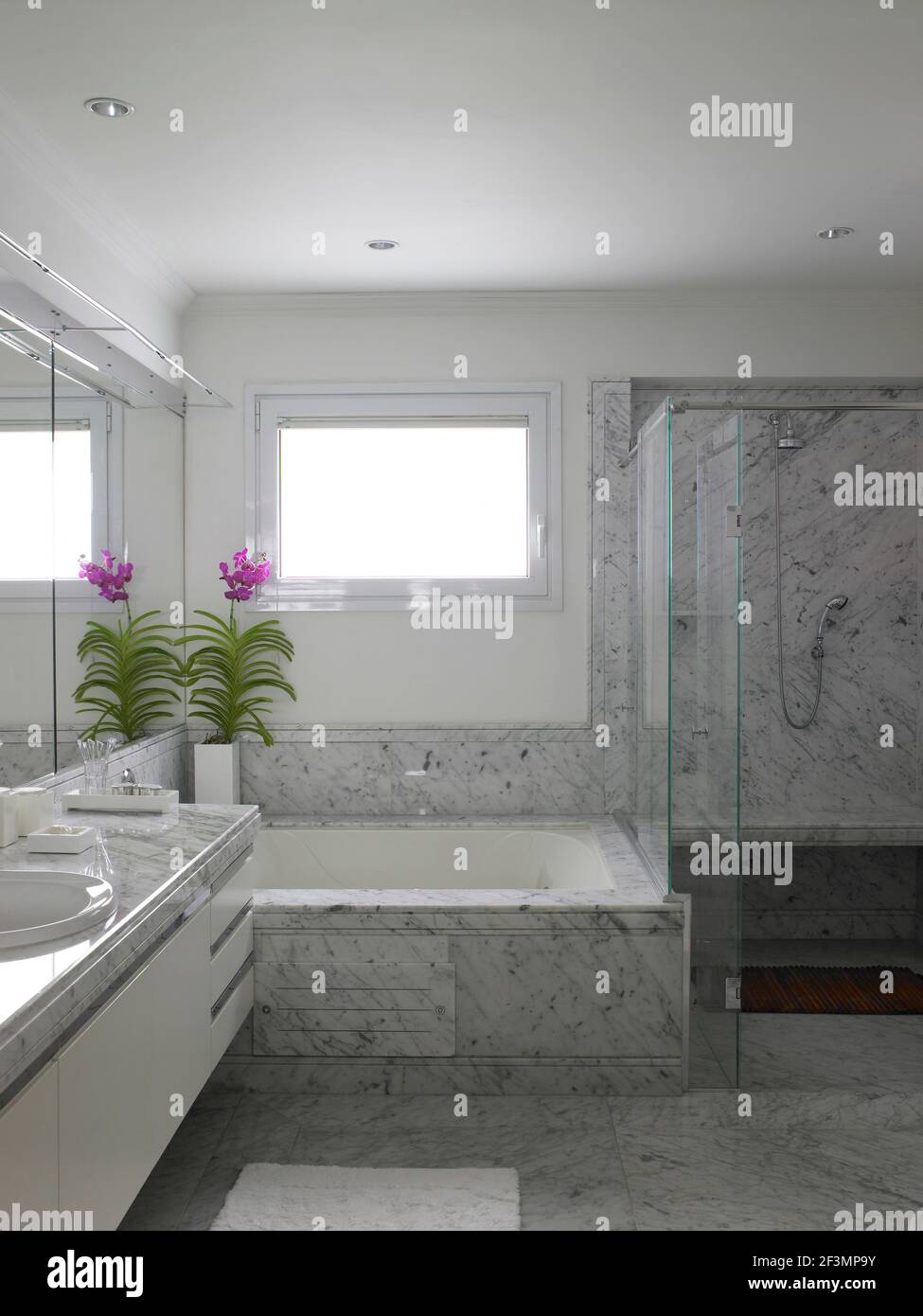Bathtub and shower in bathroom in Brazilian home Stock Photo Alamy