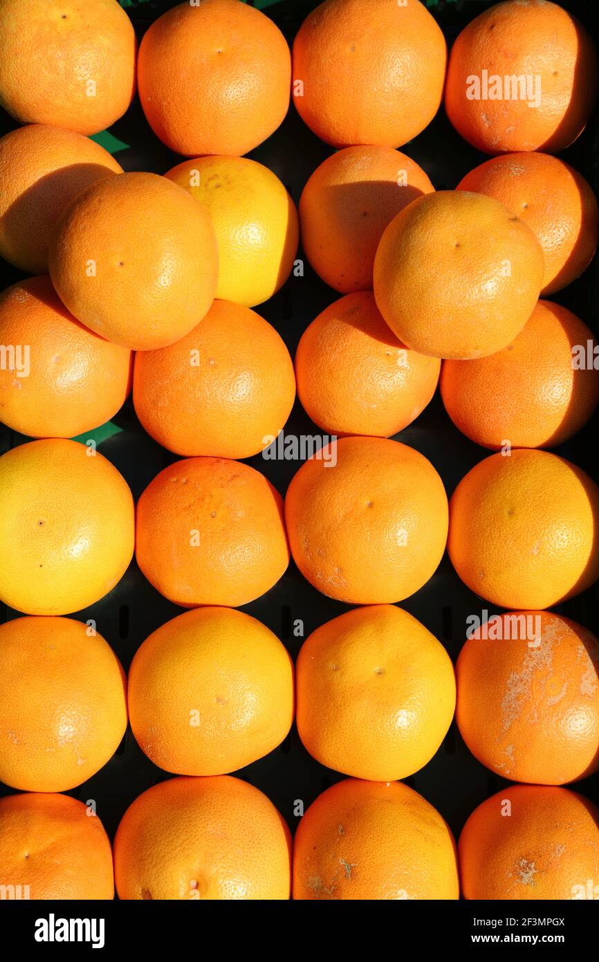 Grapefruits background at a food market in Dortmund, Germany Stock