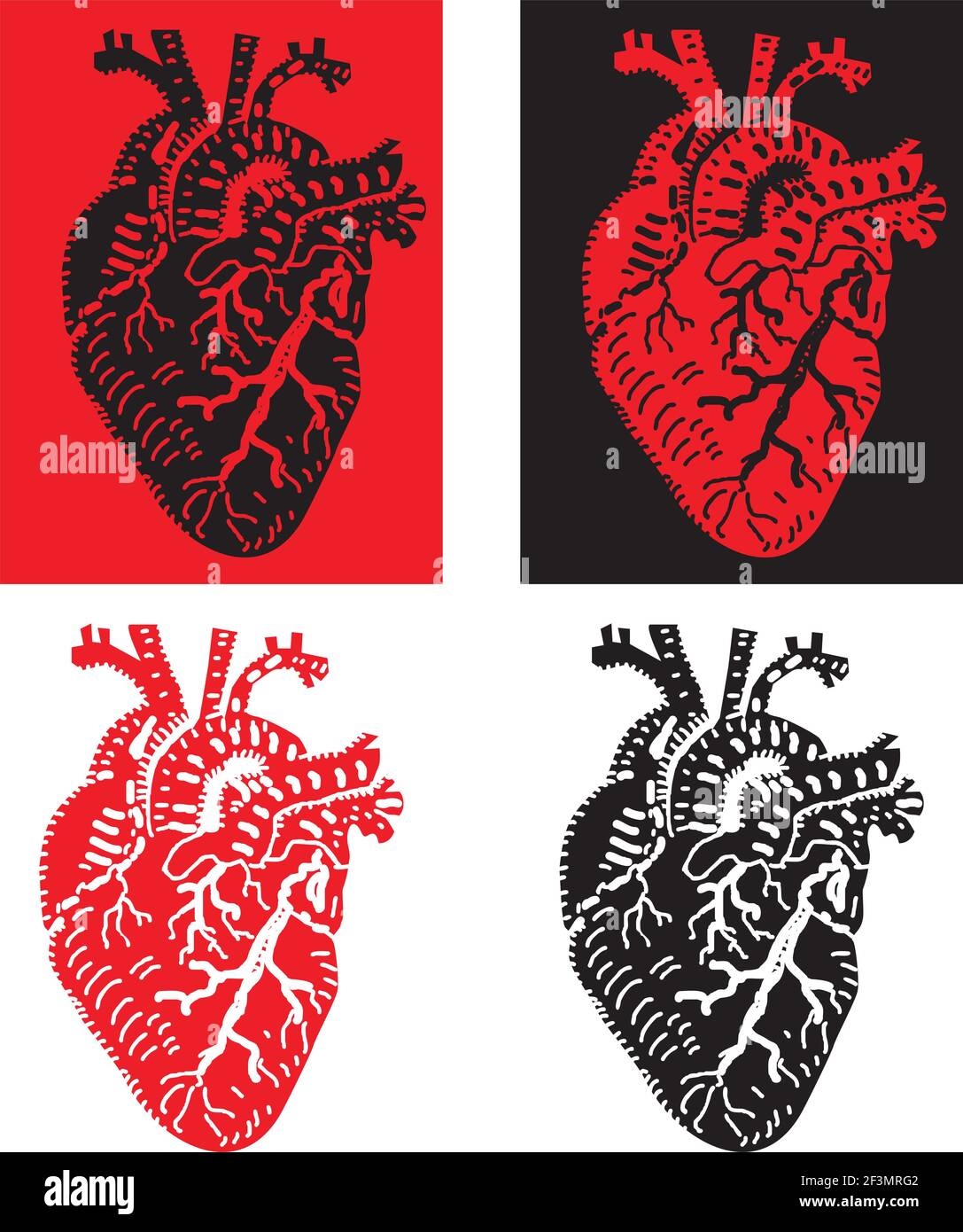 Human heart vein blood Stock Vector Images - Alamy
