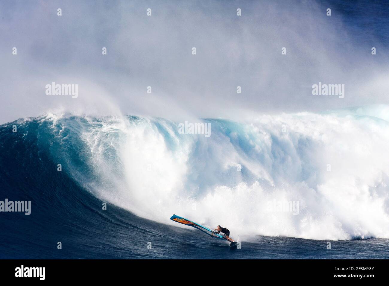 WINDSURFING ILLUSTRATION JASON POLAKOW (AUS) PEAHI / JAWS 24/11