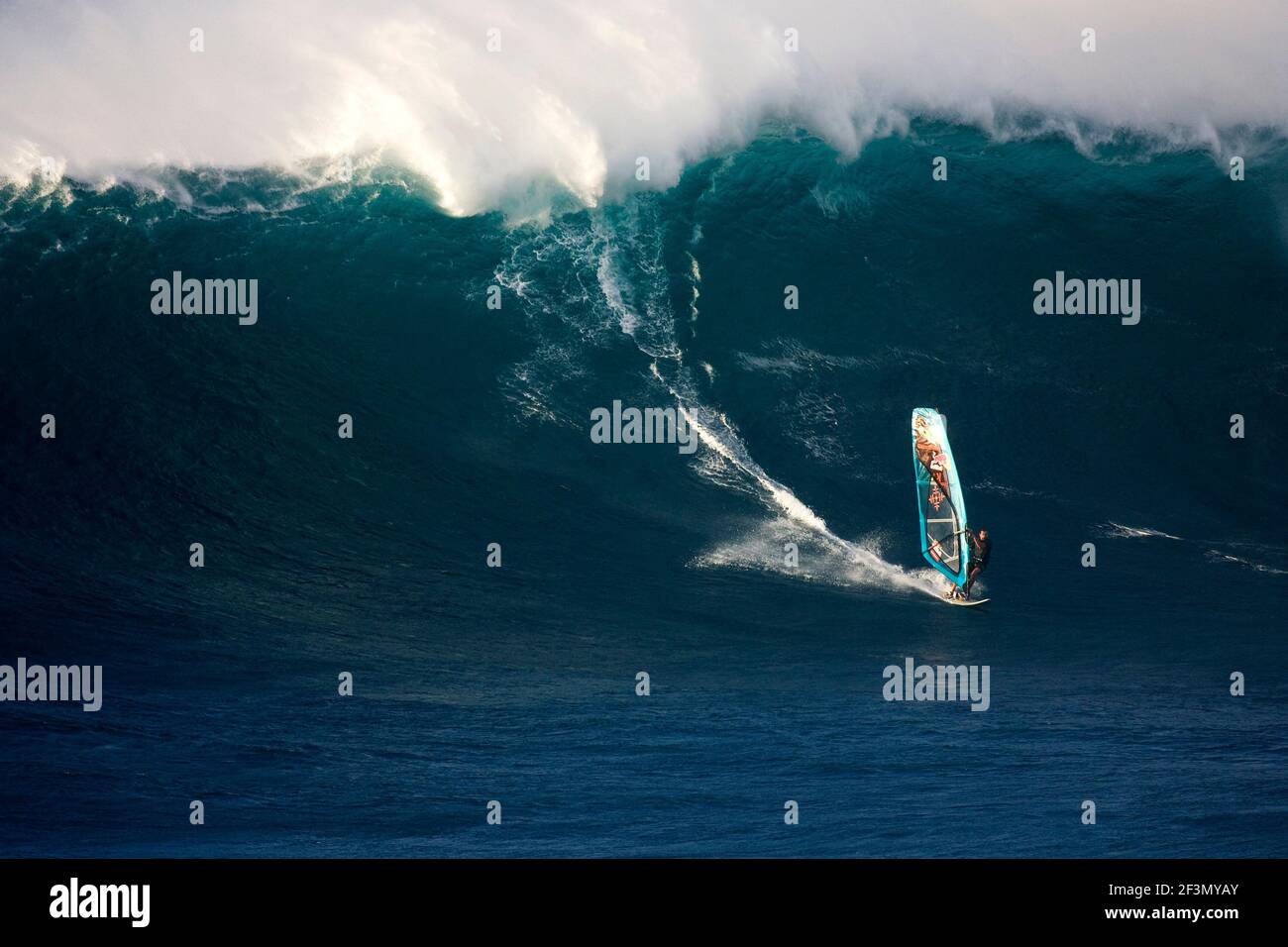 WINDSURFING ILLUSTRATION JASON POLAKOW (AUS) PEAHI / JAWS 24/11