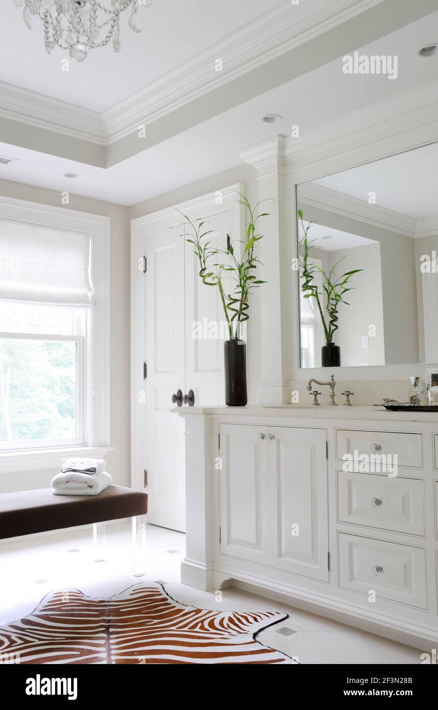 Zebra print rug on bathroom floor with cut bamboo in traditional US