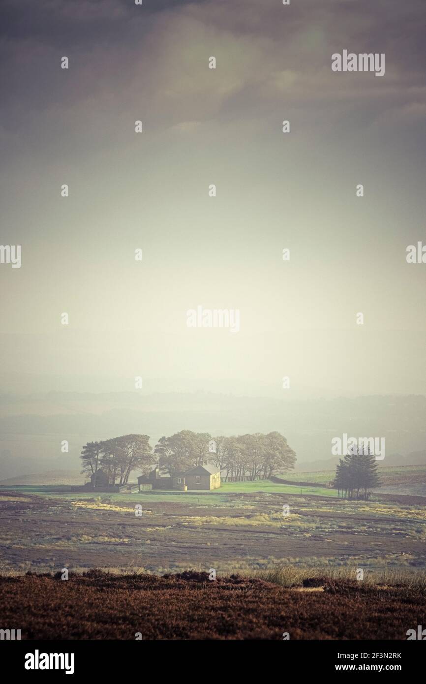 An isolated house on the moors with trees in the background Stock Photo