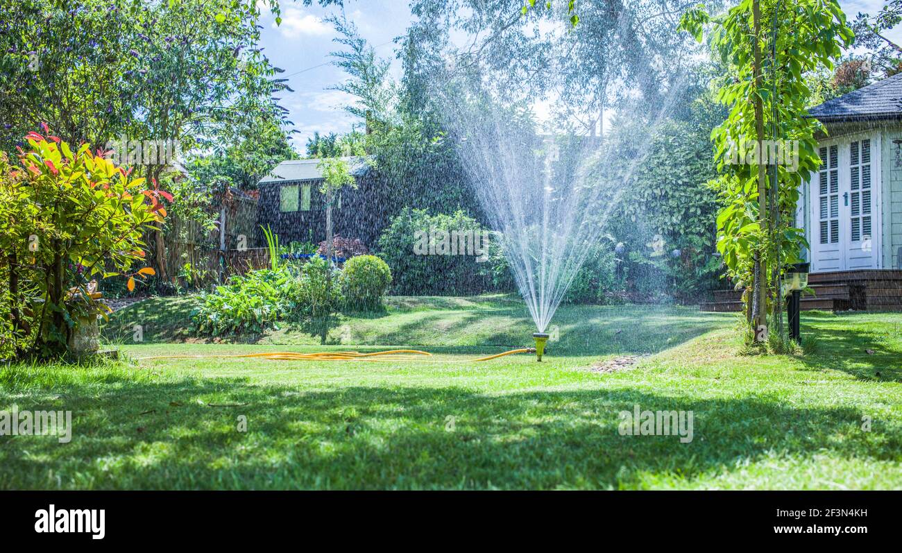 Water Sprinkler in garden Stock Photo