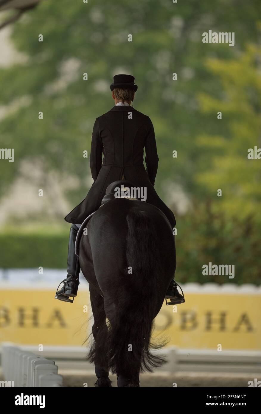 dressage rider on horse shot from behind showing proper seat and ...