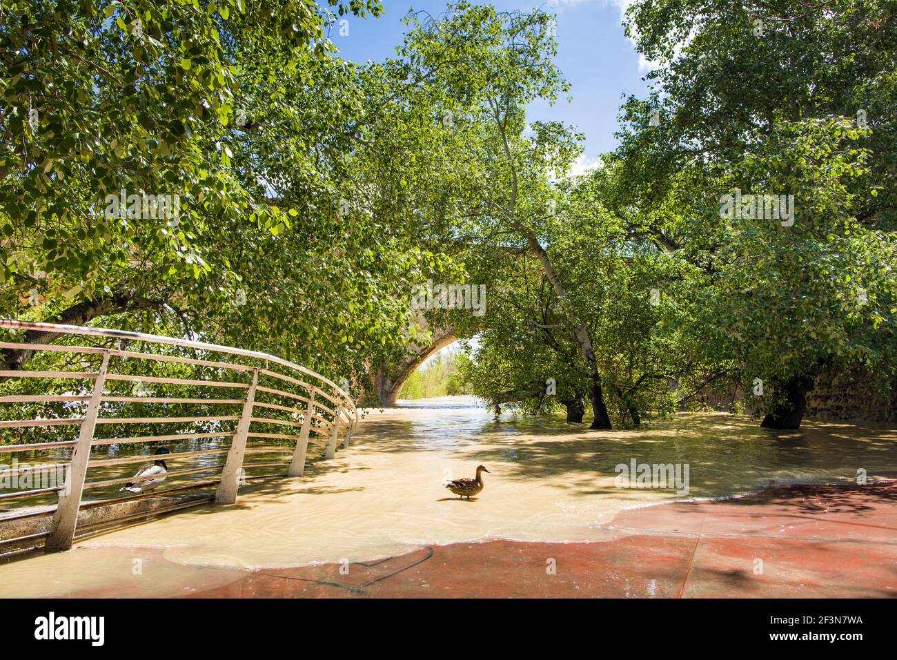 Flood waters from Ebro river in Zaragoza Spain Stock Photo Alamy