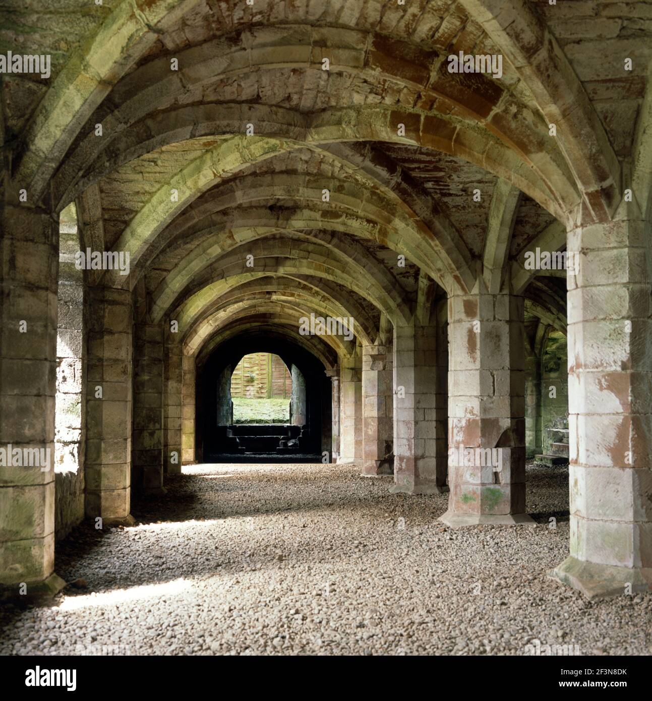 Lanercost priory undercroft, the buildings of a religious institution or monastic order. Arched vaulted roofs and columns of the cellars. Stock Photo