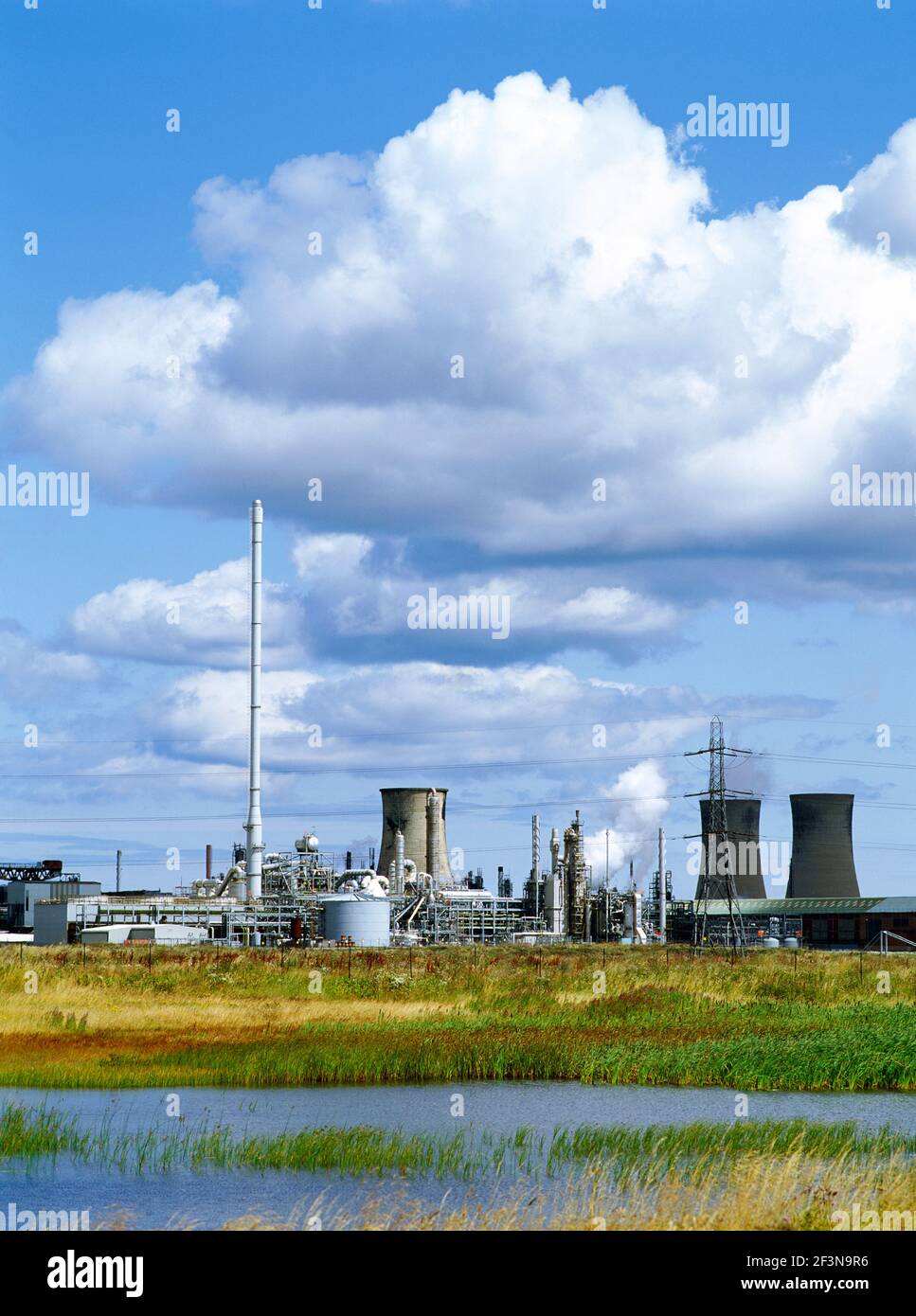 Teesside is home to the largest cluster of chemical industry plants in