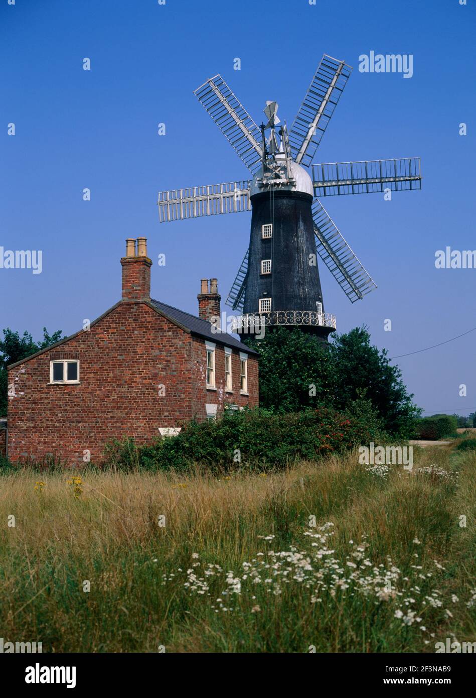 Sibsey Trader Windmill. Post mill. Round tower. Revolving. Large wooden sail. Struts. For harnessing wind power. Farming buildings. House.  Plants and Stock Photo