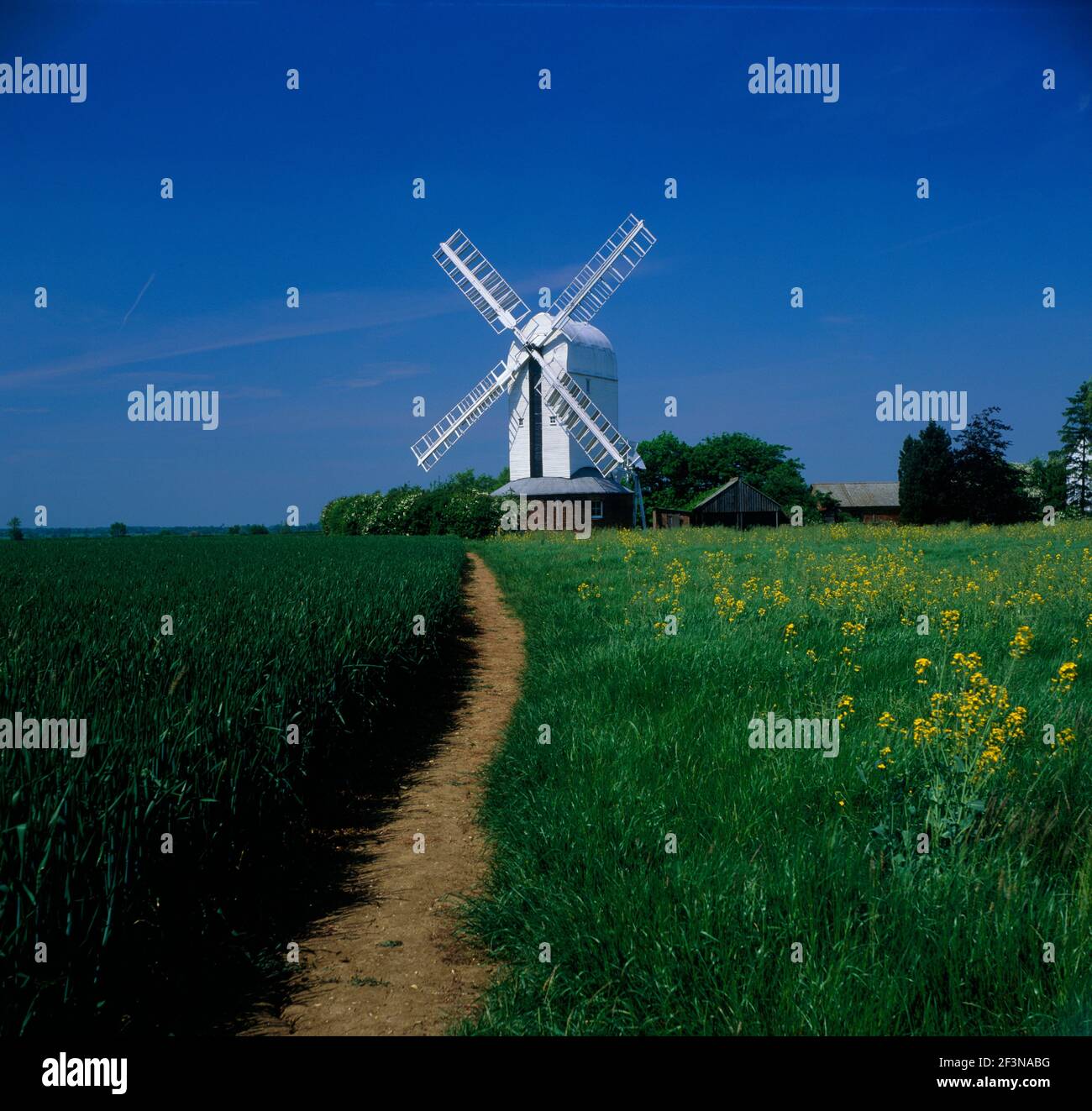 Windmill. Path. Fields Stock Photo Alamy