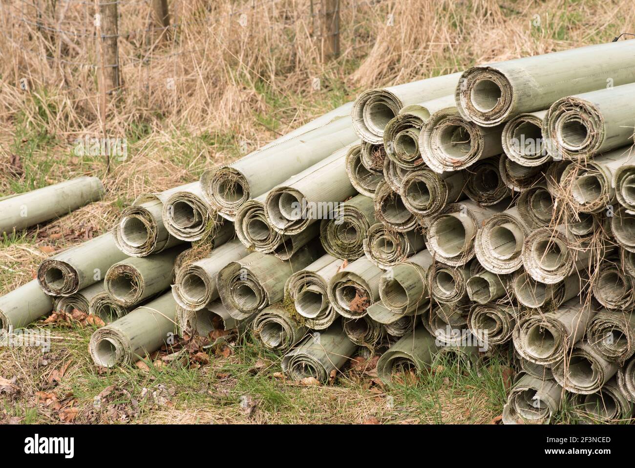 Are there alternatives to plastic tree guards hires stock photography