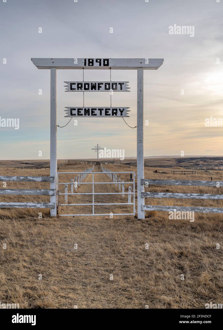 Chief crowfoot hi-res stock photography and images - Alamy