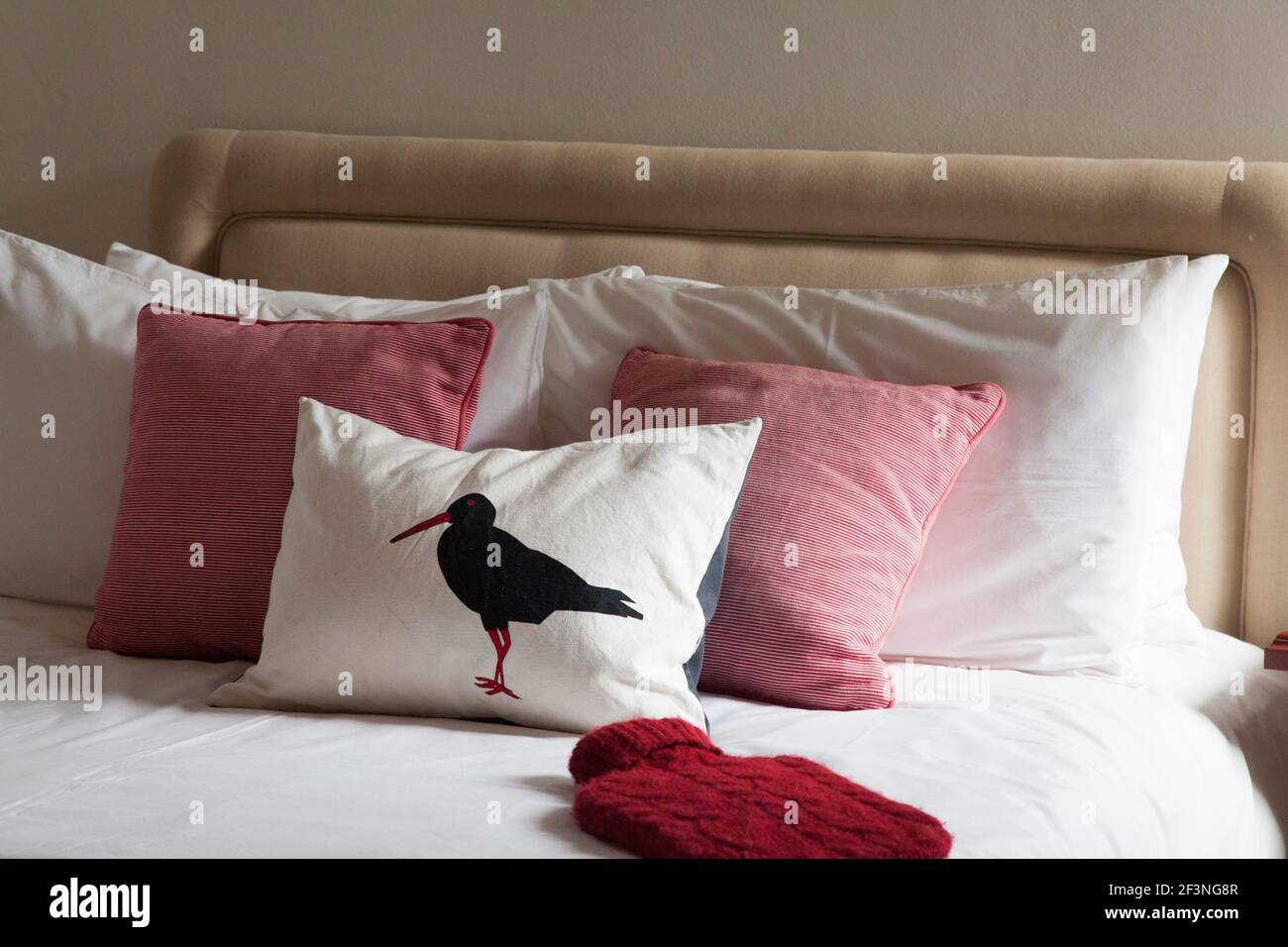 Bed with neutral colour headboard, red striped cushions, white bed linen, red hot water bottle and cushion with printed picture of an Oystercatcher Bi Stock Photo