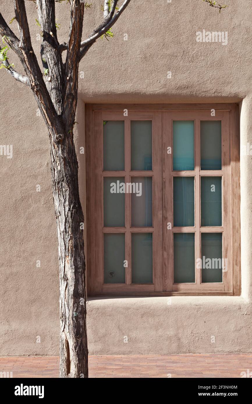 Adobe Building Windows Facade detail of tree outside an adobe building with wooden window ...