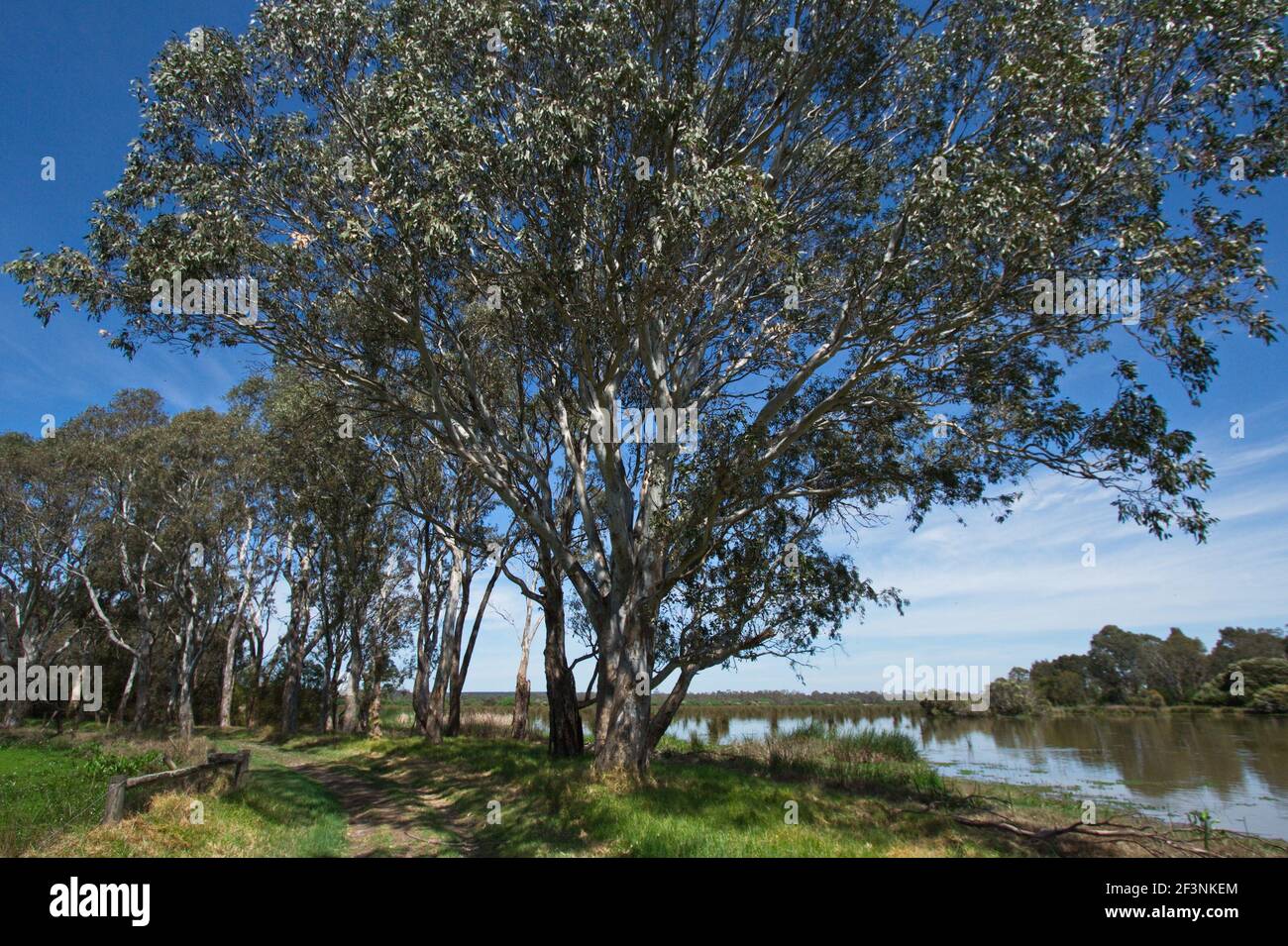 Sale Common River Heritage & Wetlands Trail in Victoria in Australia