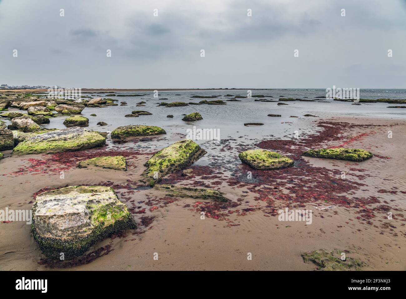 Ecological catastrophy. Drying shallow Caspian Sea Stock Photo