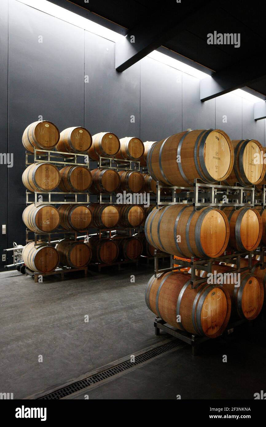Barrique barrels at winery Pfneisl, Kleinmutschen, Burgenland, Austria Stock Photo