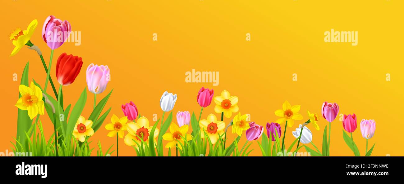 Holiday spring yellow banner Stock Vector