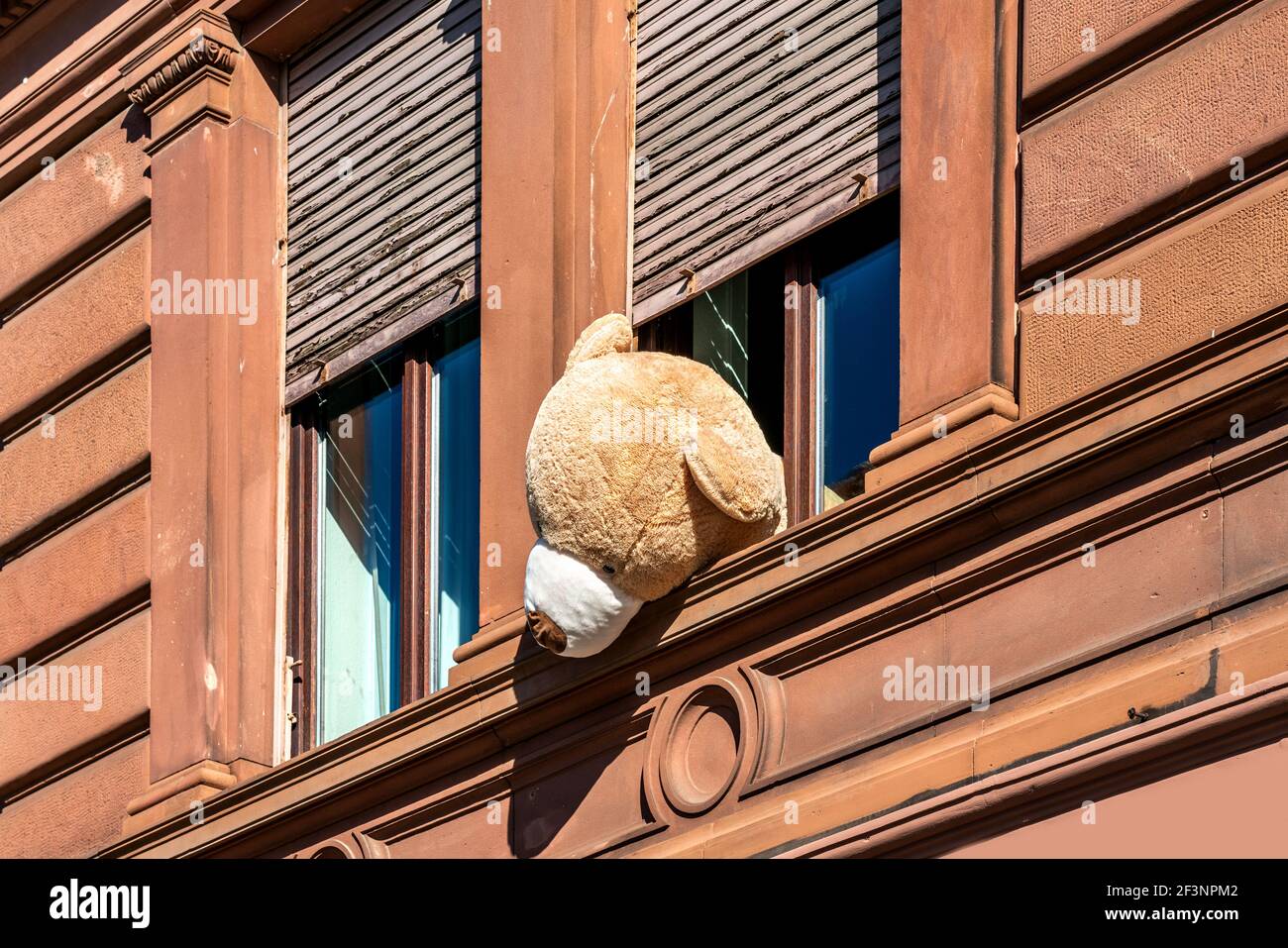 Big lonely teddy bear looking out the window Stock Photo
