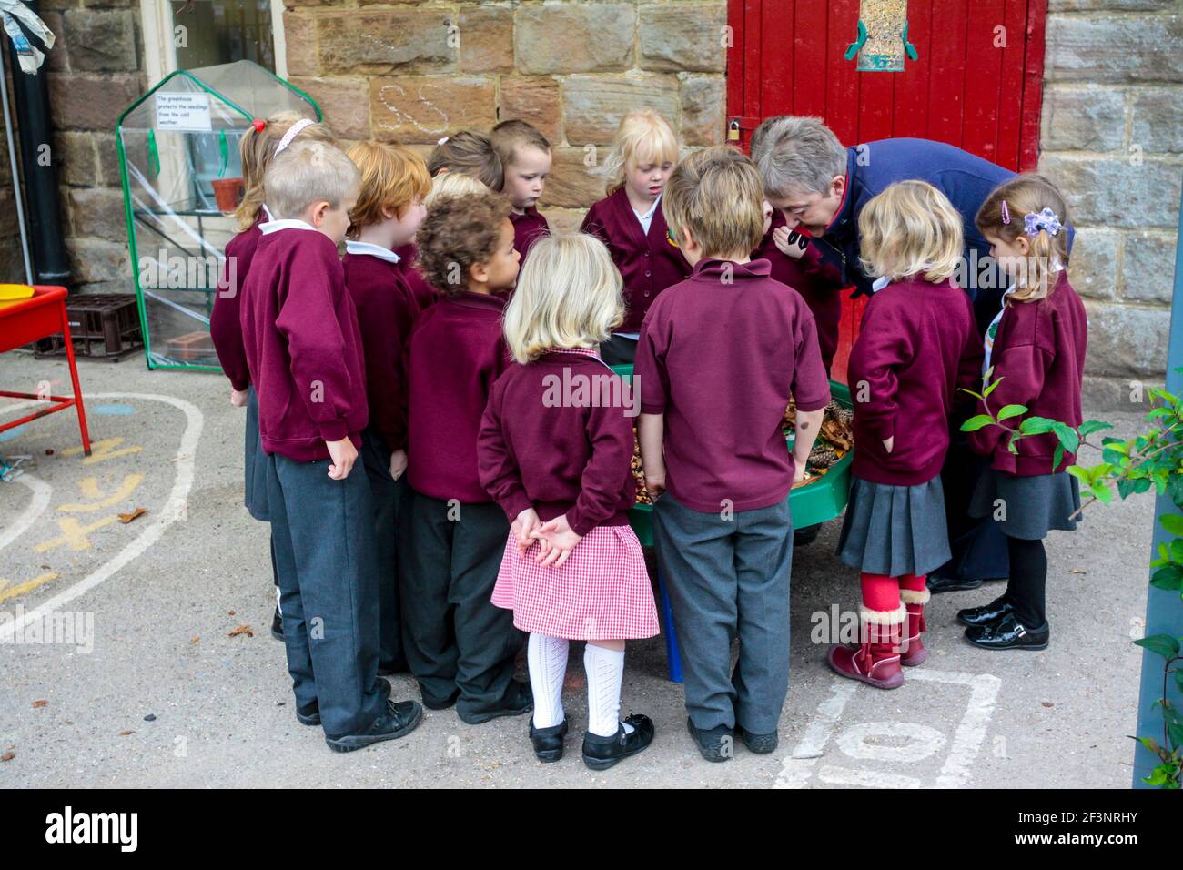 Primary school children learning about nature in an outdoor classroom. Stock Photo