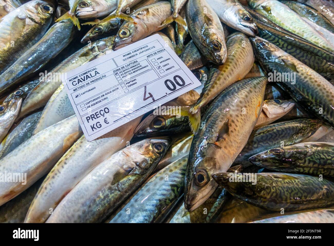 Algarve fish market hires stock photography and images Alamy