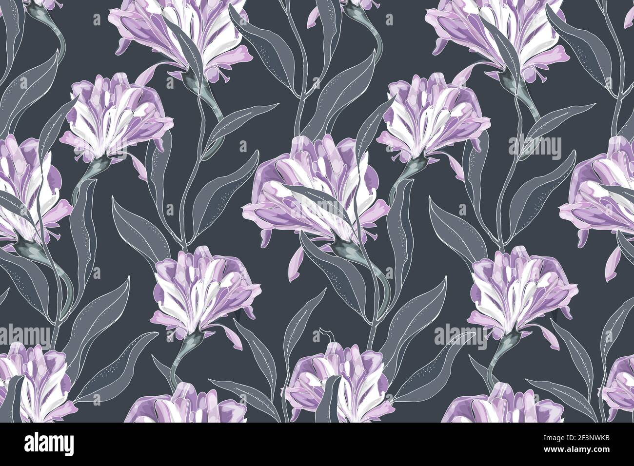 Art floral vector seamless pattern. Delicate purple Ipomoea, morning glory, isolated on a deep grey background. Curly flowers with grey leaves. Stock Vector