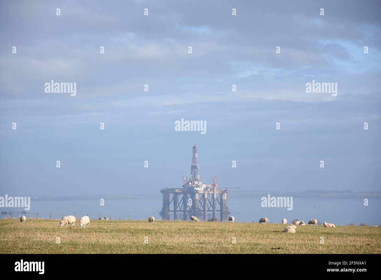 Oil rig, Cromarty Firth, Highland Stock Photo - Alamy