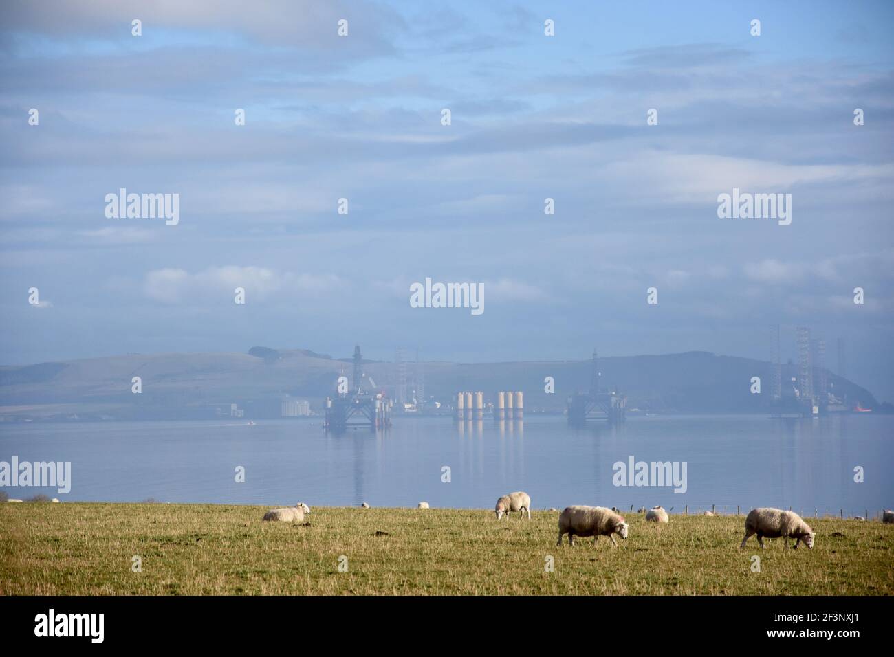 Oil rig, Cromarty Firth, Highland Stock Photo - Alamy