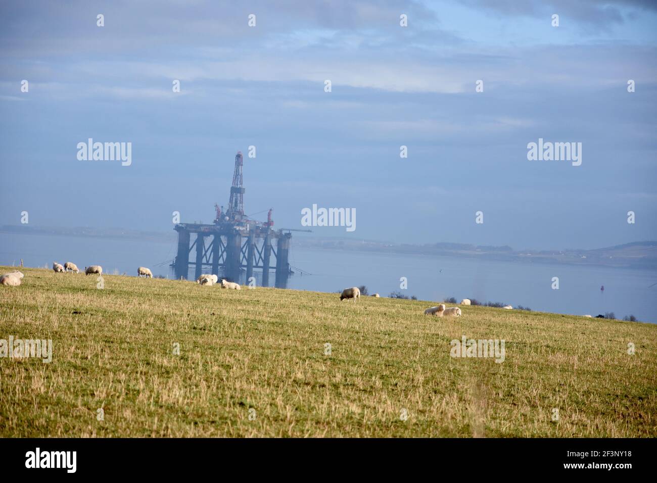 Oil rig, Cromarty Firth, Highland Stock Photo