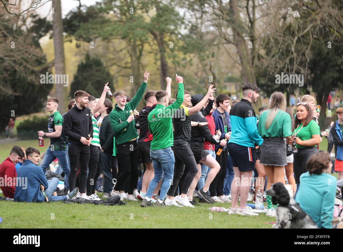 tai chi st patricks day botanic belfast