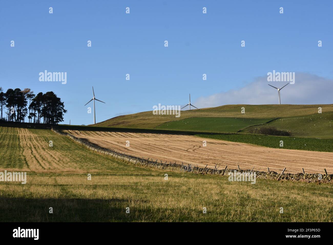Farm land, Angus Glens, Scotland Stock Photo Alamy
