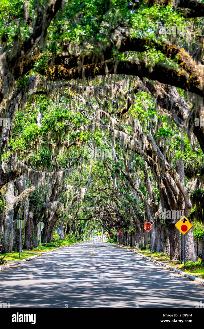 Magnolia avenue st augustine hires stock photography and images Alamy