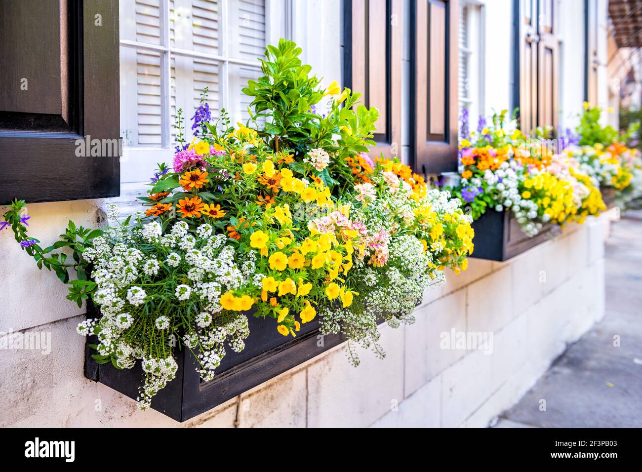 Wall exterior siding house architecture sidewalk and multicolored