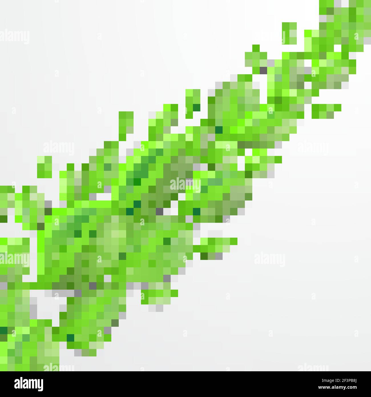 Frame green leaves ecology Stock Vector Images - Alamy