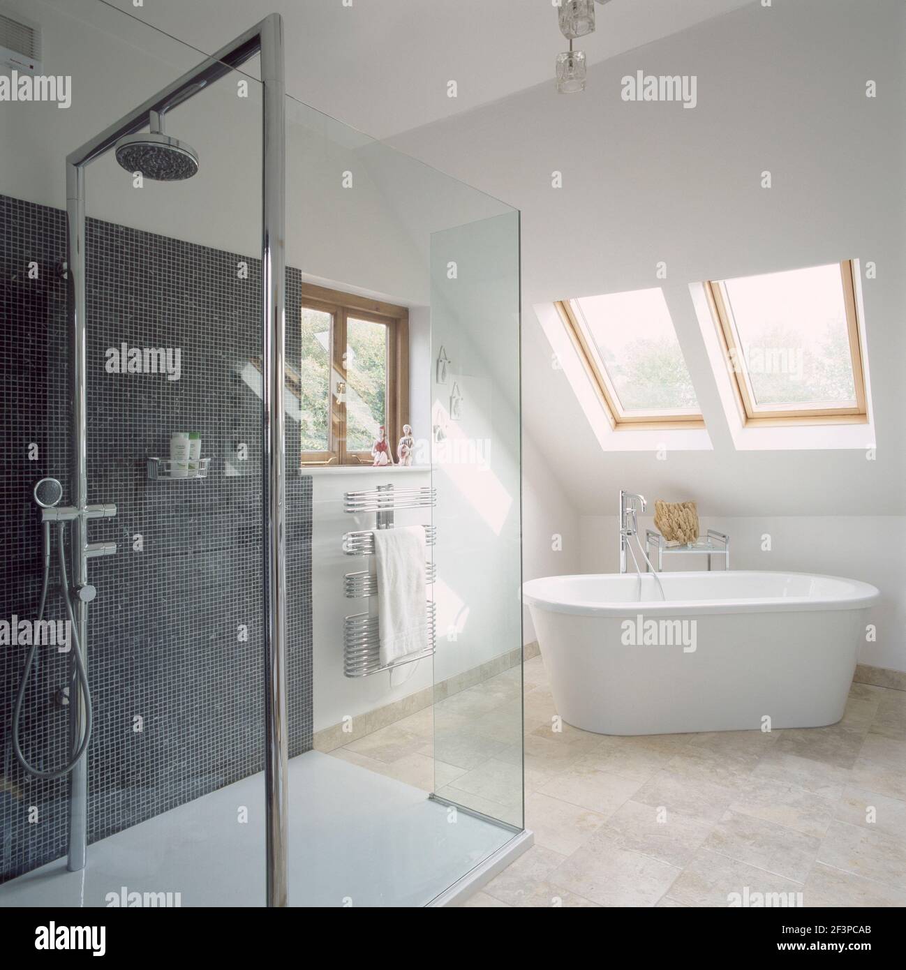 Freestanding bathtub and shower cubicle in modern bathroom Stock Photo