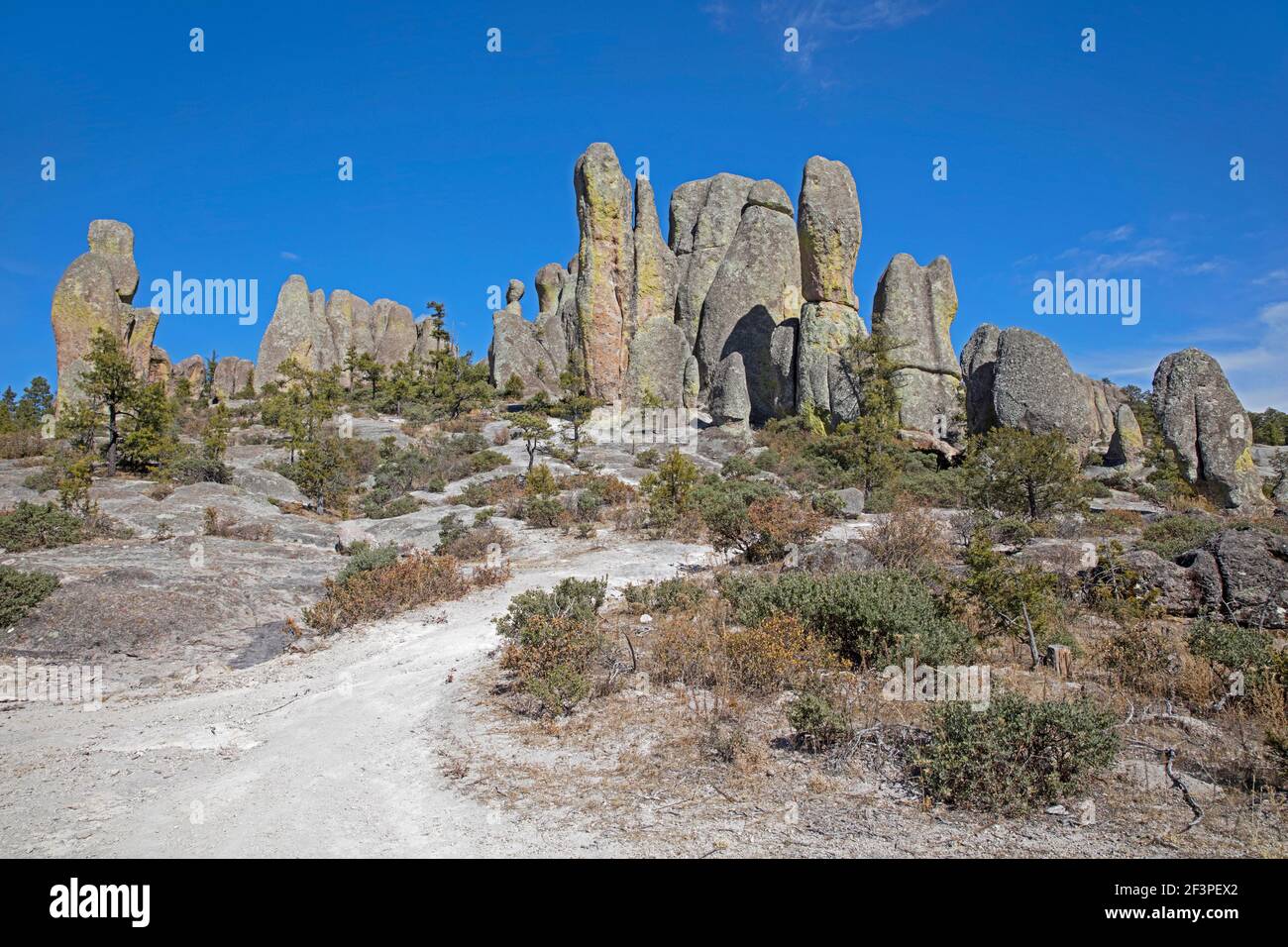 Elongated rock formations in the Valley of the Monks / Valle de los Monjes / Bisabirachi near Creel in Alta Sierra Tarahumara, Chihuahua, Mexico Stock Photo