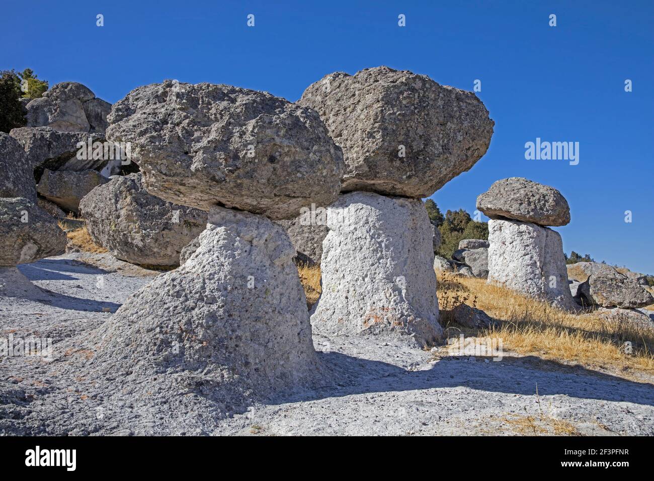 Mushroom shaped rock formations in the Valley of the Mushrooms / Valle de Ongos near the town Creel, Sierra Madre Occidental, Chihuahua, Mexico Stock Photo