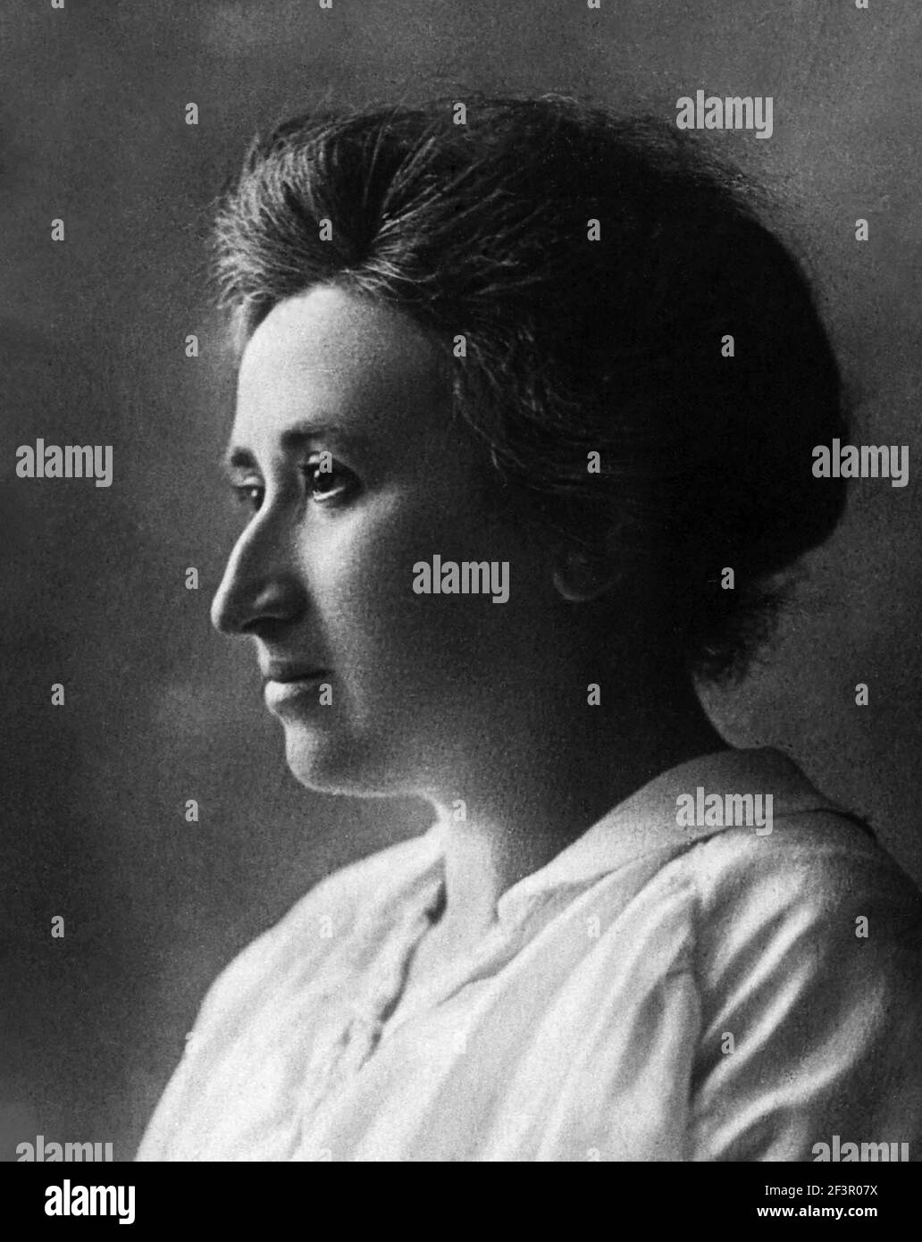 Rosa Luxemburg Portrait Hi Res Stock Photography And Images Alamy