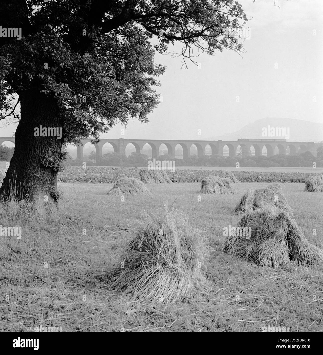 CONGLETON VIADUCT, Cheshire. General view of the Congleton Viaduct across agricultural land