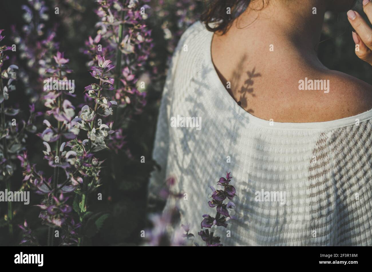 Back view of young woman in sage field in white blouse with uncovered shoulder Stock Photo