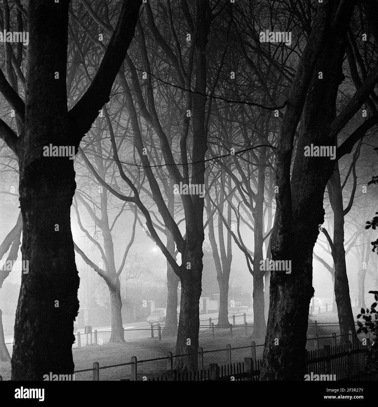 SOUTH END ROAD, Hampstead, London. Looking north-west through trees and fences in the mist towards South End Road, with lit street lights and houses. Stock Photo