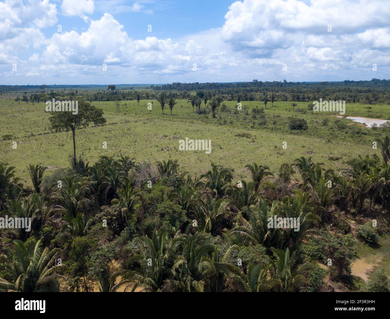 Rondônia, Brazil